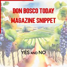 Don Bosco Today snippet - Yes and No