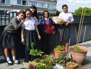 SJBC's young gardeners win Caring for Creation Award!